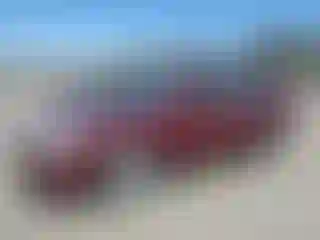 Vehicle Image- 2009 Hyundai Sonata