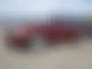 Vehicle Image- 2007 Hyundai Sonata