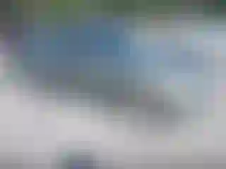 Vehicle Image- 2009 Hyundai Sonata