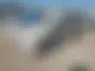 Vehicle Image- 2006 Hyundai Sonata