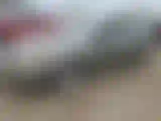Vehicle Image- 2007 Hyundai Sonata