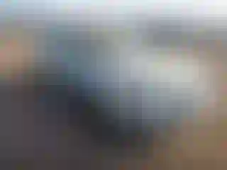 Vehicle Image- 2008 Hyundai Sonata