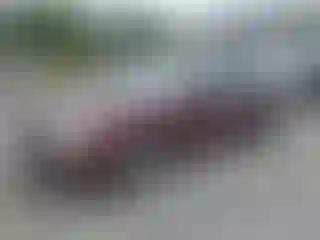 Vehicle Image- 2010 Hyundai Sonata