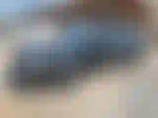 Vehicle Image- 2008 Hyundai Sonata