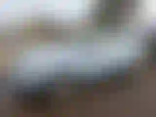 Vehicle Image- 2006 Hyundai Sonata