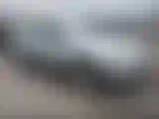 Vehicle Image- 2006 Hyundai Sonata