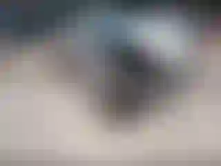 Vehicle Image- 2008 Hyundai Sonata