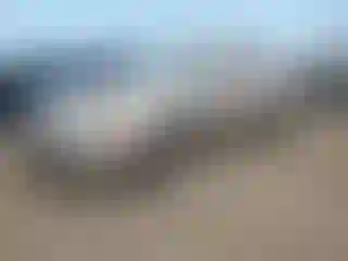 Vehicle Image- 2006 Hyundai Sonata