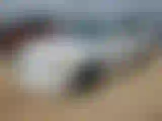 Vehicle Image- 2006 Hyundai Sonata