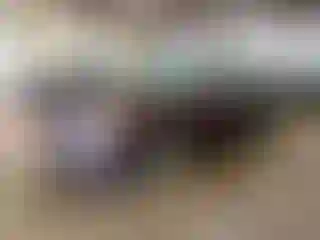 Vehicle Image- 2006 Hyundai Sonata