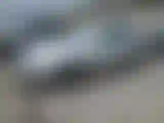 Vehicle Image- 2008 Hyundai Sonata