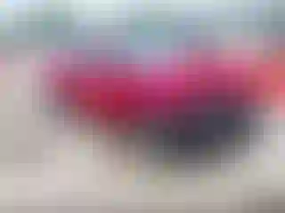 Vehicle Image- 2021 Hyundai Elantra