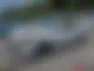 Vehicle Image- 2021 Hyundai Elantra