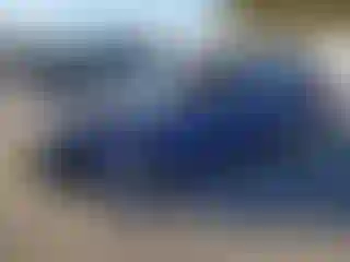Vehicle Image- 2021 Hyundai Elantra