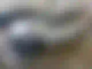 Vehicle Image- 2022 Hyundai Elantra