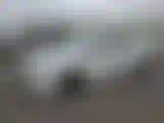 Vehicle Image- 2021 Hyundai Elantra