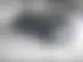 Vehicle Image- 2021 Hyundai Elantra