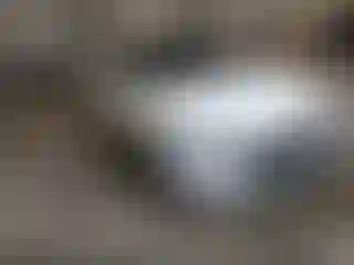 Vehicle Image- 2022 Hyundai Elantra