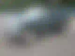 Vehicle Image- 2001 Toyota Tundra