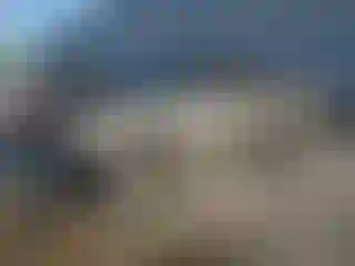 Vehicle Image- 2004 Toyota Tundra