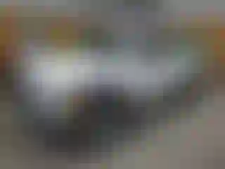 Vehicle Image- 2002 Toyota Tundra