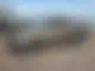 Vehicle Image- 2003 Toyota Tundra