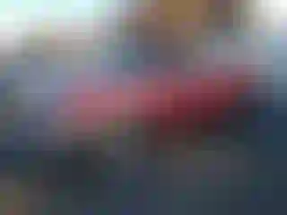Vehicle Image- 2000 Toyota Tundra