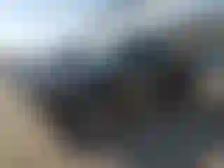 Vehicle Image- 2003 Toyota Tundra