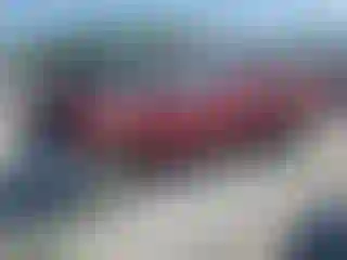 Vehicle Image- 2000 Toyota Tundra
