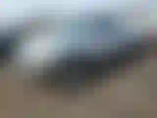Vehicle Image- 2000 Toyota Tundra