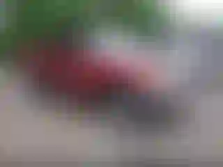 Vehicle Image- 2000 Toyota Tundra
