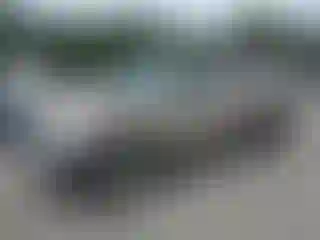 Vehicle Image- 2001 Toyota Tundra