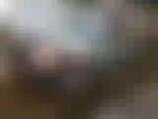 Vehicle Image- 2003 Toyota Tundra