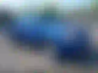Vehicle Image- 2005 Toyota Tundra