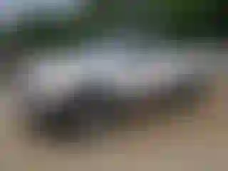 Vehicle Image- 2001 Toyota Tundra