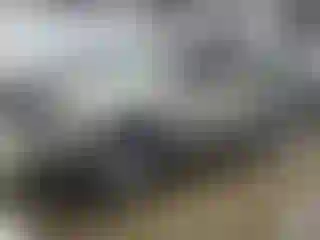 Vehicle Image- 2001 Toyota Tundra