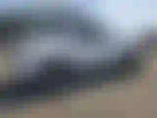 Vehicle Image- 2003 Toyota Tundra