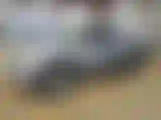 Vehicle Image- 2005 Toyota Tundra