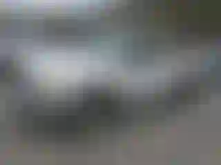 Vehicle Image- 2002 Toyota Tundra