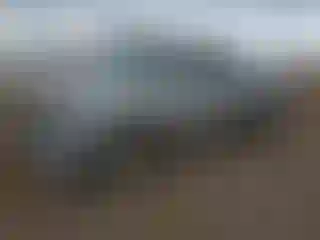 Vehicle Image- 2003 Toyota Tundra