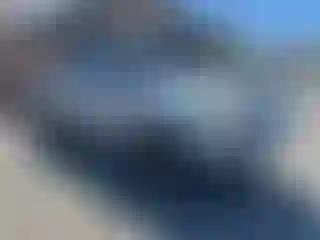 Vehicle Image- 2004 Toyota Tundra