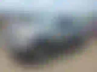 Vehicle Image- 2005 Toyota Tundra