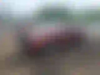 Vehicle Image- 2004 Toyota Tundra