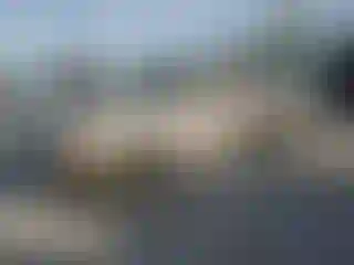 Vehicle Image- 2000 Toyota Tundra