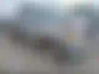 Vehicle Image- 2000 Toyota Tundra