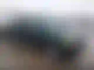 Vehicle Image- 2002 Toyota Tundra