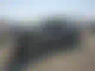 Vehicle Image- 2003 Toyota Tundra