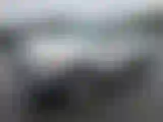Vehicle Image- 2000 Toyota Tundra
