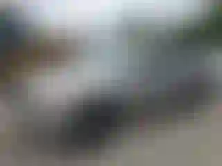 Vehicle Image- 2001 Toyota Tundra