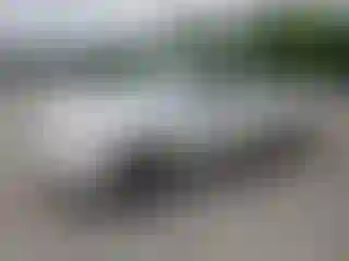 Vehicle Image- 2005 Toyota Tundra